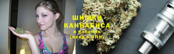 ПСИЛОЦИБИНОВЫЕ ГРИБЫ Каменка