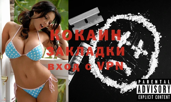 ПСИЛОЦИБИНОВЫЕ ГРИБЫ Каменка