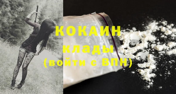 ПСИЛОЦИБИНОВЫЕ ГРИБЫ Каменка