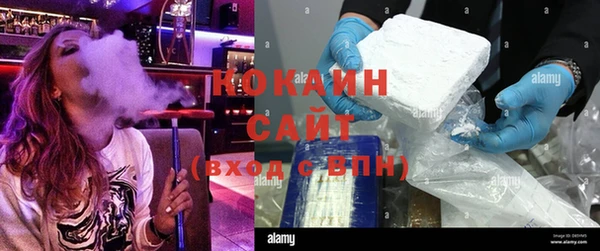 ПСИЛОЦИБИНОВЫЕ ГРИБЫ Каменка