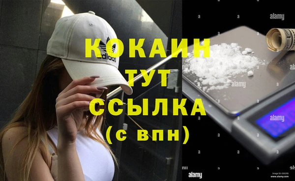 ПСИЛОЦИБИНОВЫЕ ГРИБЫ Каменка