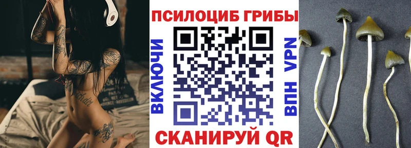 Галлюциногенные грибы прущие грибы Юхнов