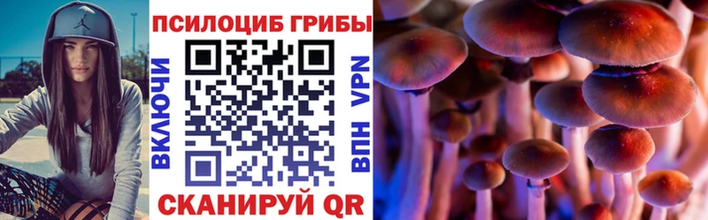 Купить закладки  Юхнов  Галлюциногенные грибы мицелий 